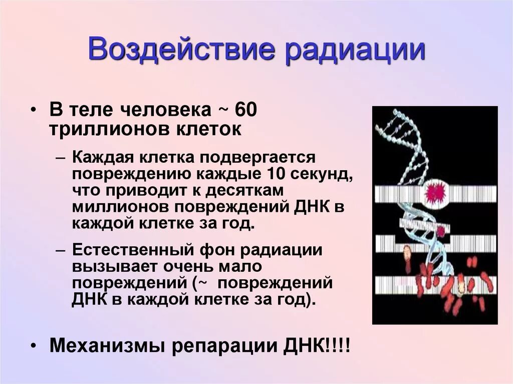 Воздействие радиации на организм. Воздействие радиации на организм человека.