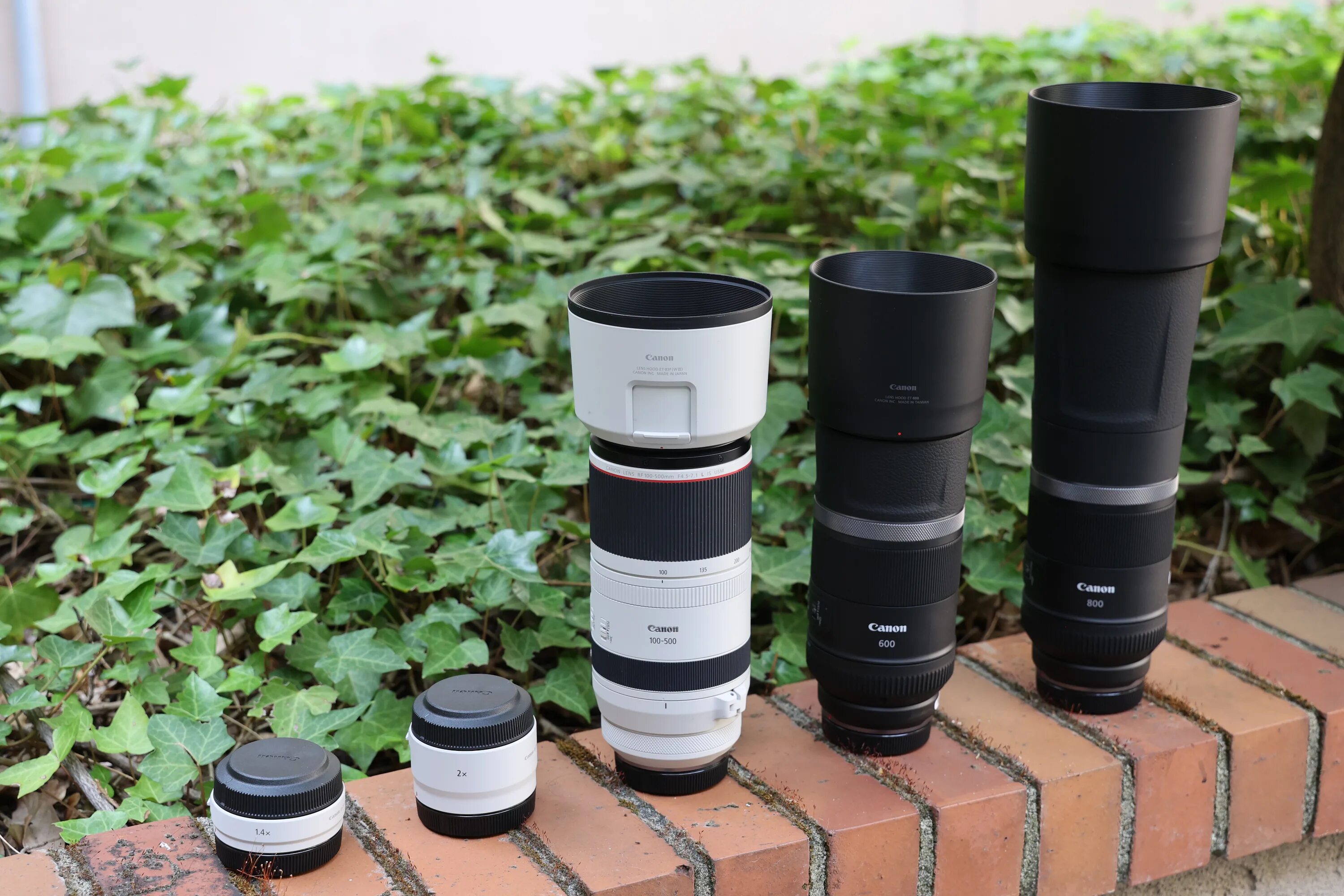 Canon 100 500. Canon 100 500. Canon 100 500. Canon 100 500. Canon 100 500.