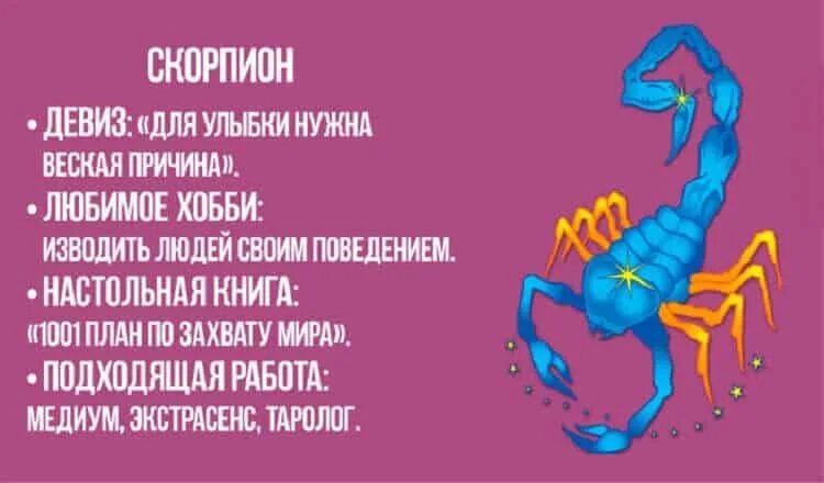 Что делает мужчина скорпион. Скорпион шуточный гороскоп. Знак зодиака Скорпион. Высказывания про скорпионов. Скорпион знак зодиака мужчина характеристика.