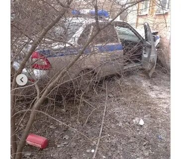 Погода роднички волгоградская нехаевский