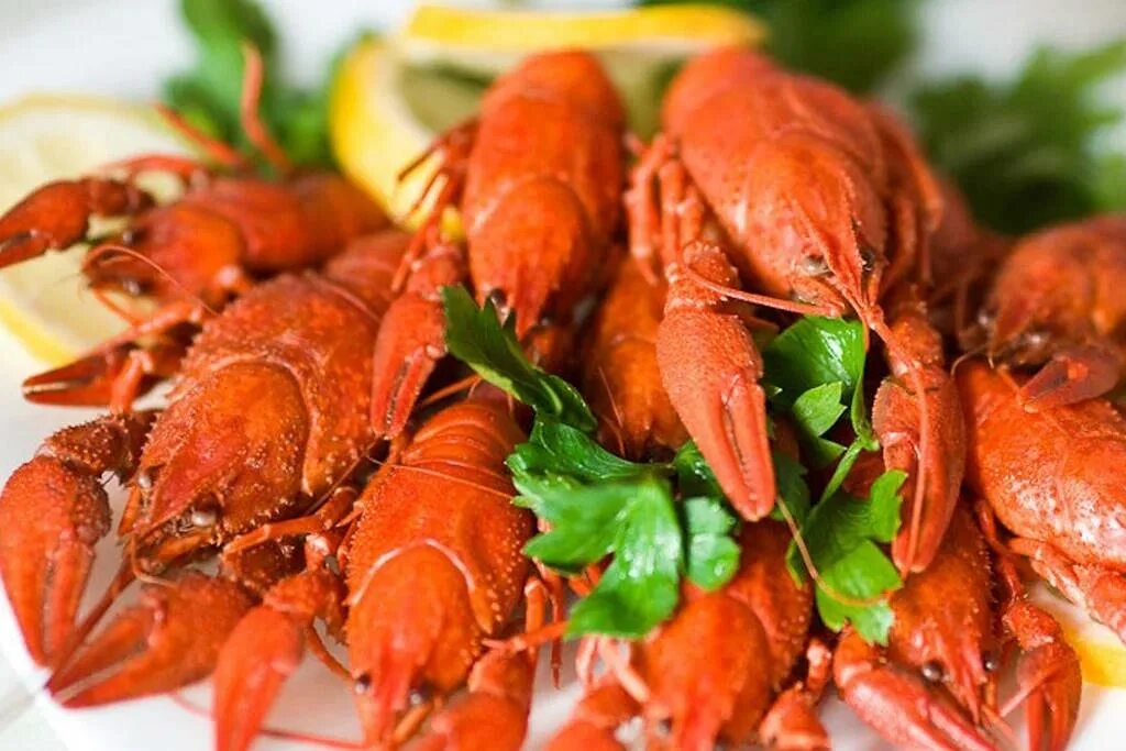 раковарня подольск. ракообразные в кулинарии. раковарня брянск. Rak. креветки краб икра красная и пиво красиво накрыть на стол.