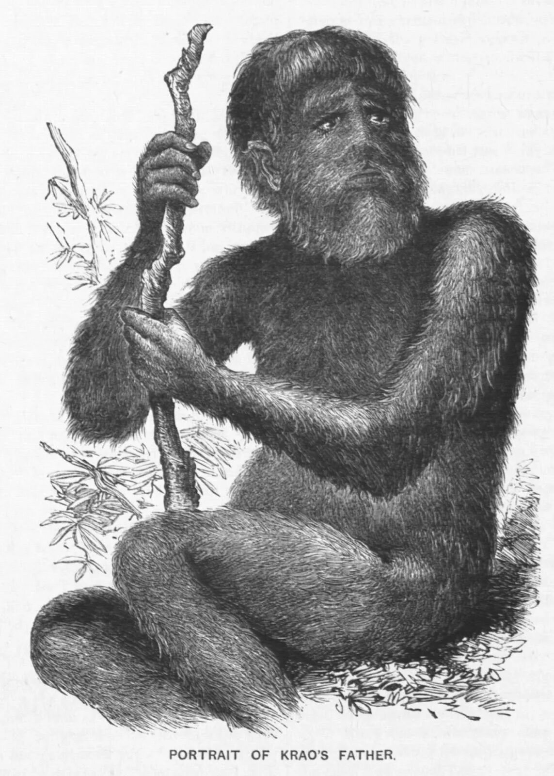 КРАО Фарини, «девочка-обезьяна», Лондон, 1883 год. Девочка-обезьяна КРАО Фарини 1883. Остров ява древнейший человек