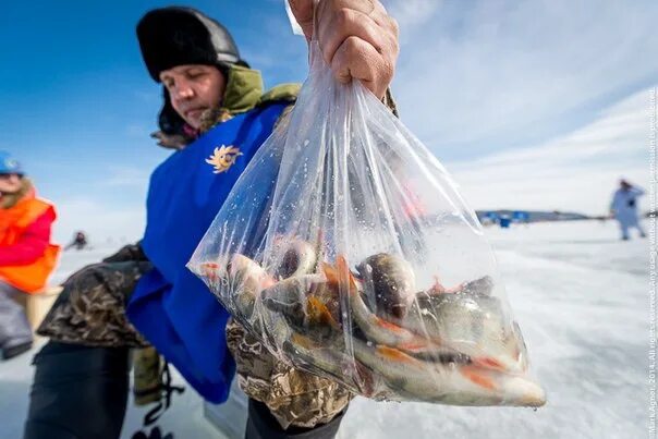 Байкальская рыбалка. Байкальская рыбалка одежда. Село Байкальское рыбаки. Подледная рыбалка 1 место команде.