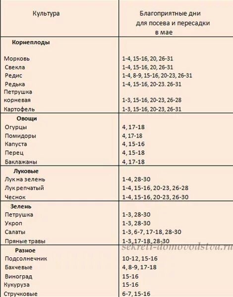 Благоприятные дни для посадки редиски. Благоприятные дни апреля для посадки свеклы. Неблагоприятные дни для посадки моркови. Удачные дни для посадки моркови.