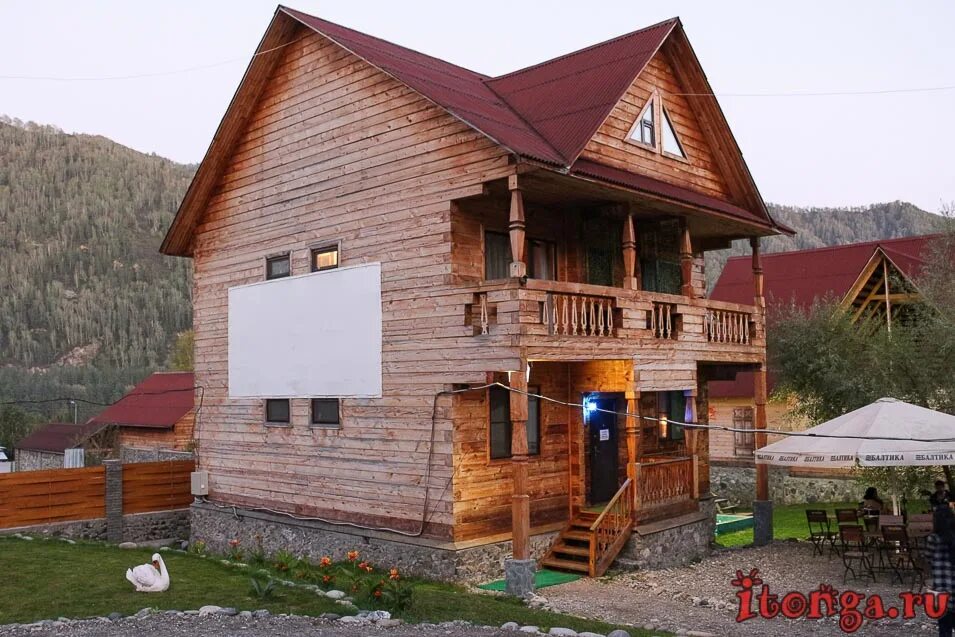База саржевских бирюзовая катунь. Усадьба саржевских бирюзовая катунь. Елка бирюзовая катунь. Турбаза елки горный алтай. Елка бирюзовая катунь.