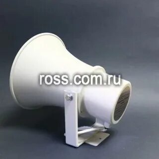 Пгс 10