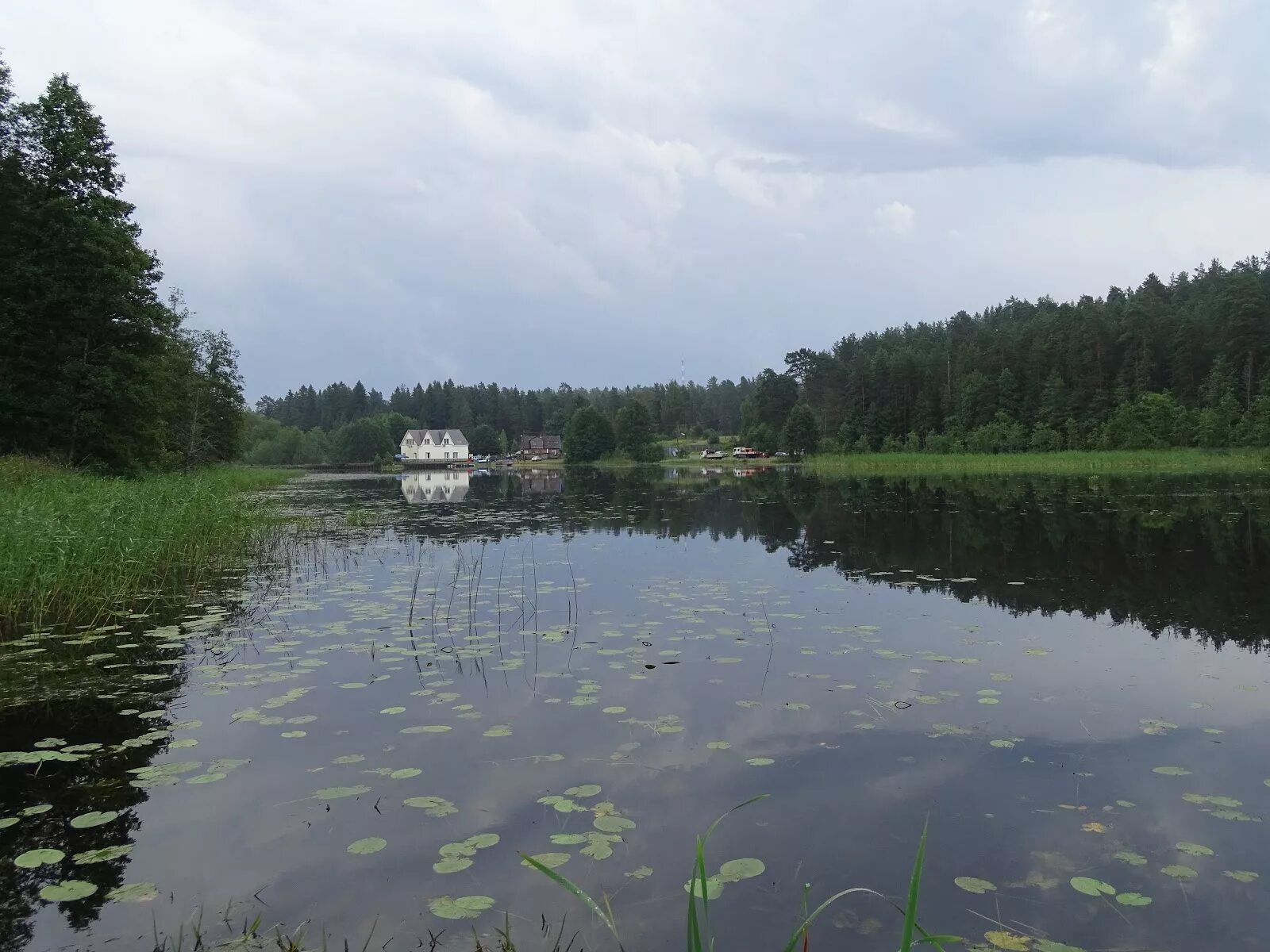 Озера под лугой. Озеро Омчино Лужский. Омчино Луга. Озеро Омчино Ленинградская. Г.Луга озеро Омчино.