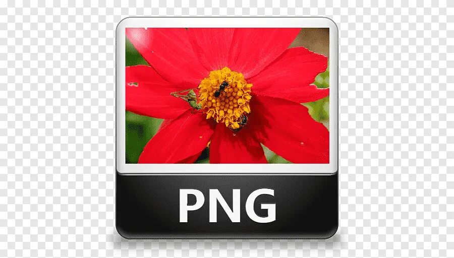 Png file format. Иконка файла. иконка jpg файла. графический файл jpg. файл в формате png.