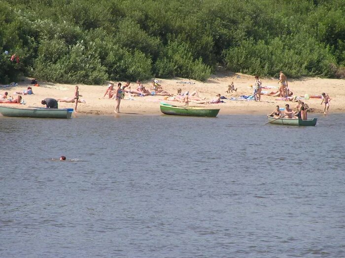общественный пляж. серпуховский р н городской пляж. ока новый пляж. серпуховский р н городской пляж. пляж дракино серпуховский.