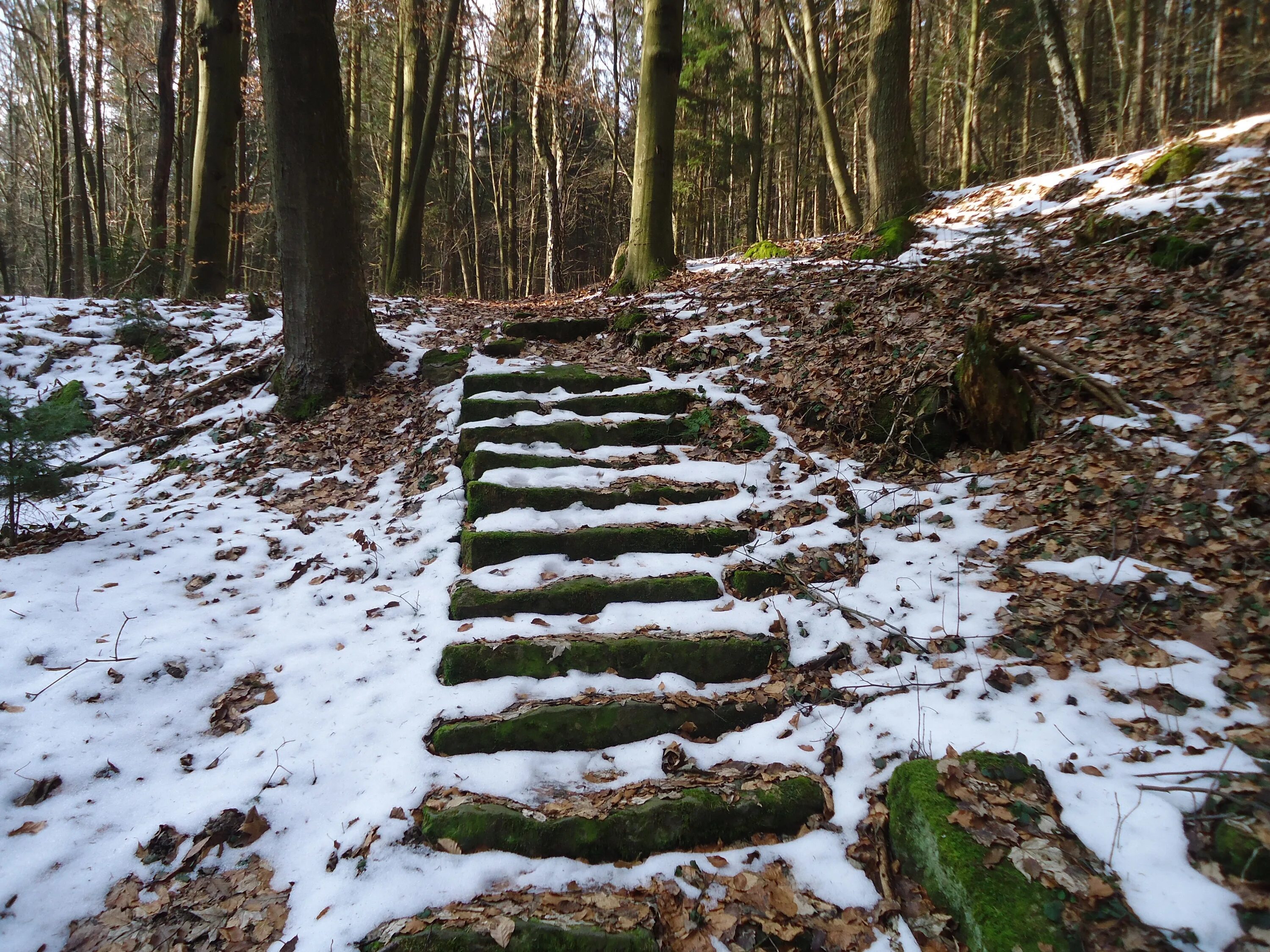 Зимние ступени. Лестницы в зимнем лесу. Лестница в лесу в снегу. Каменная лесенка в горы в снегу. Красивые лестницы Лесные зимние.