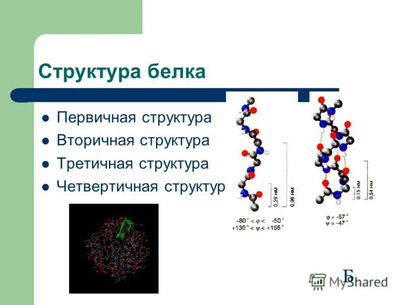 Первичная вторичная третичная структура белка. Первичная вторичная третичная четвертичная структура.