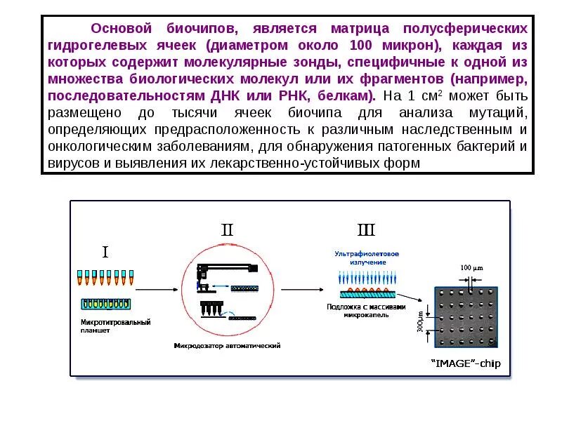 Основы микро. ДНК биочипы. Биочип это в генетике. Принцип работы биочипа. Биочипы и Биосенсоры.