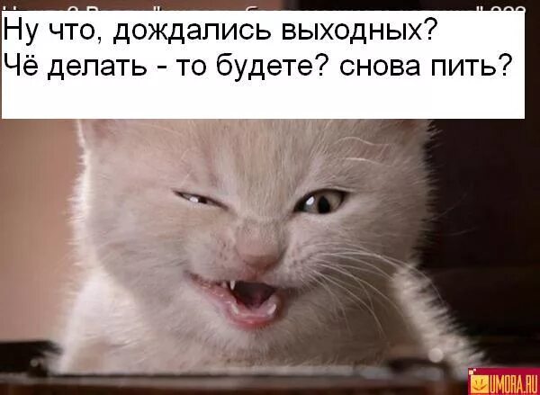Затащил мем. Подождем мем. Наконец то пятница. Мем когда ждешь. Они не дождутся.