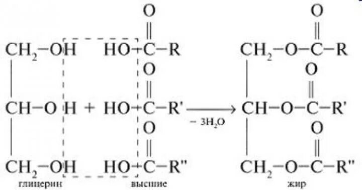 Этерификация пальмитиновой кислоты. Реакция этерификации пальмитиновой кислоты. Реакция этерификации глицерина и пальмитиновой кислоты. Глицерин и пальмитиновая кислота реакция. Глицерин 3 уксусная кислота