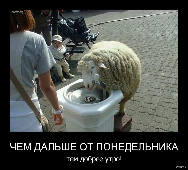 чем дальше от понедельника тем добрее. чем дальше понедельник тем ближе понедельник. понедельник близко. почему понедельник. дальше от понедельника тем добрее утро.