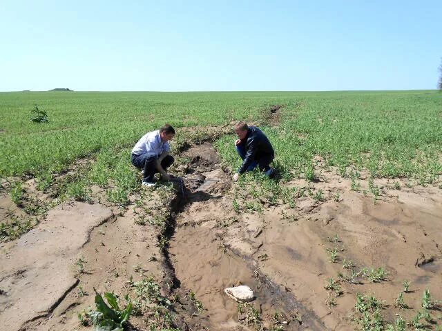 Защита почв от водной эрозии. Предотвращение водной эрозии почв. Антропогенная эрозия. Предотвращение водной эрозии почв. Дождево-капельная эрозия почв.