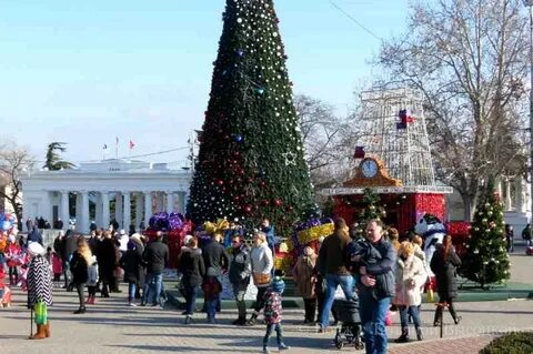 Ели в севастополе