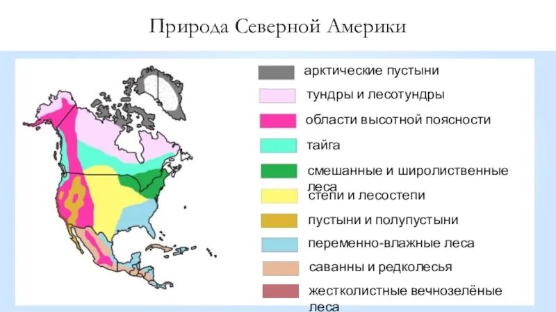 Карта природных зон Северной Америки 7 класс география. Природные зоны Северной Америки 7 класс география. Природные зоны Северной Америки 7 класс. Карта природных зон США. Природные зоны и их основные особенности америки