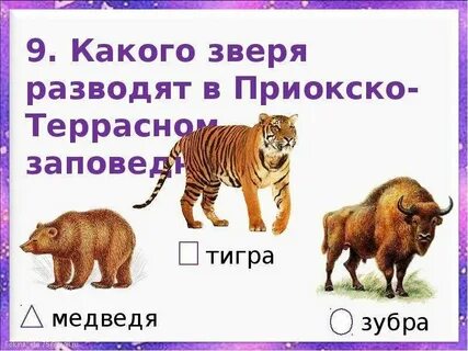 Какие животные есть в европе