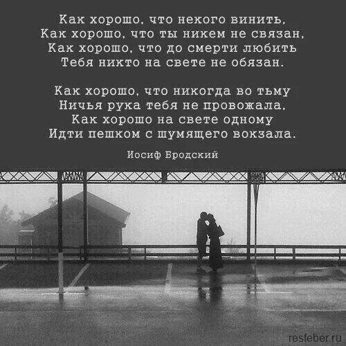 Если бы я не любил поэзию бродского. Иосиф Бродский цитаты о любви. Цитаты Бродского о любви. Стихи Бродского. Бродский лучшие цитаты.