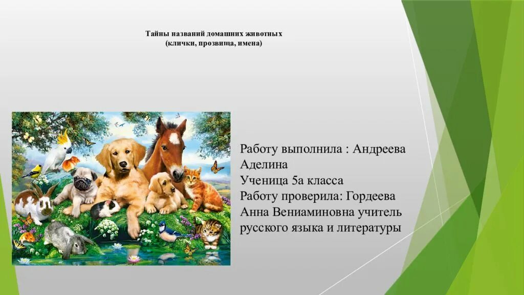 3 клички животных. Тайны названий домашних животных. клички животных. клички домашних животных. клички животных для домашних животных.