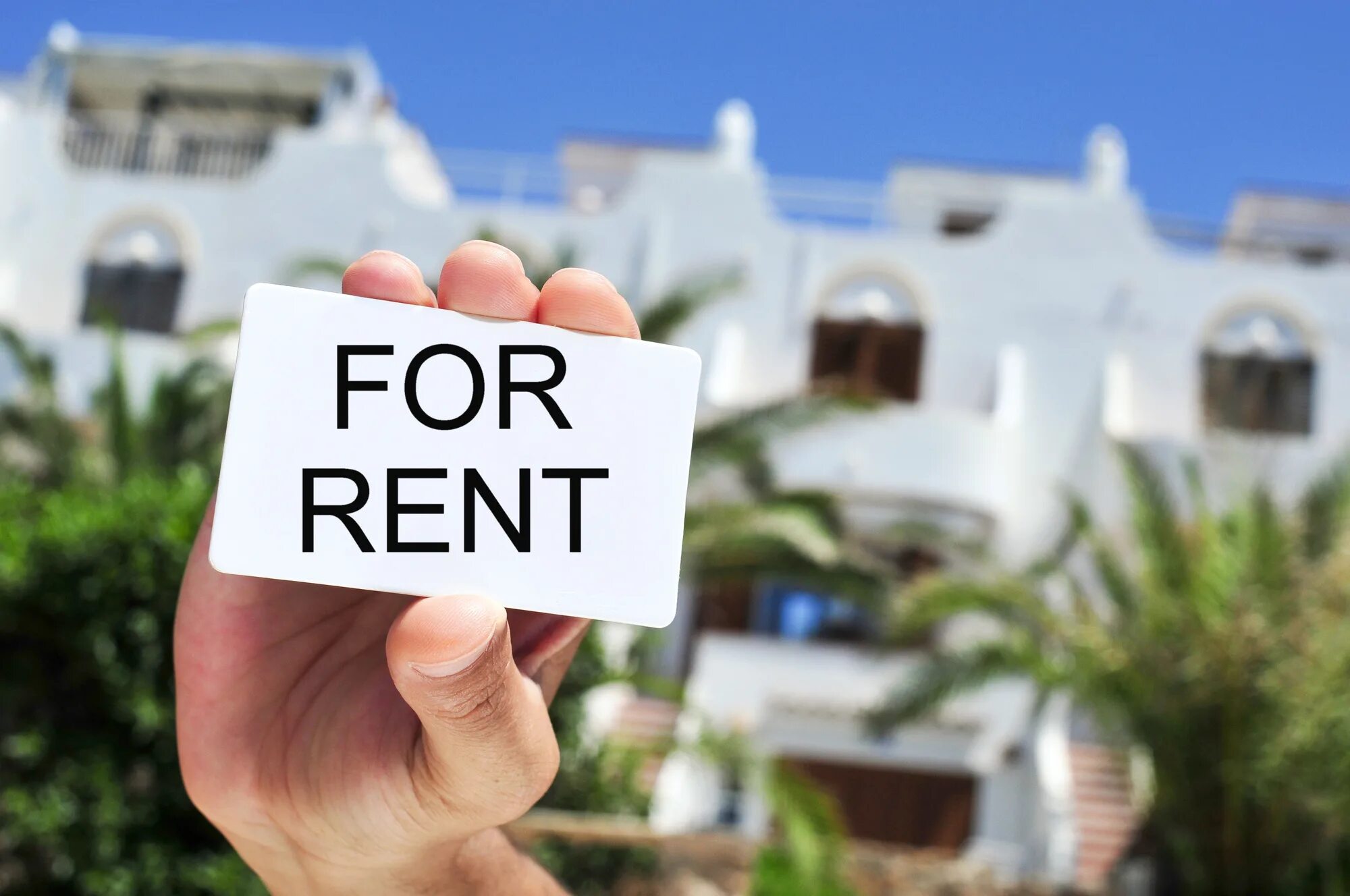 Рента фото. Rent слово красивое. Sun rent картинки. Rent out