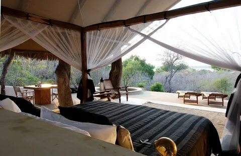 Safari romance