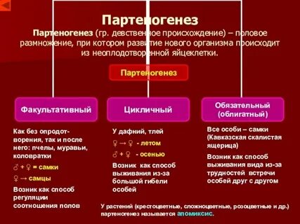 Видами партеногенеза являются