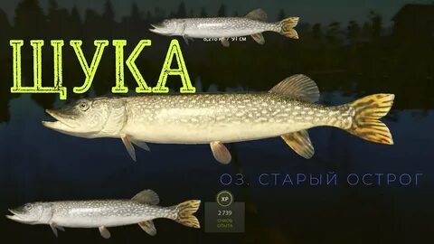 Приманки на щуку рр4