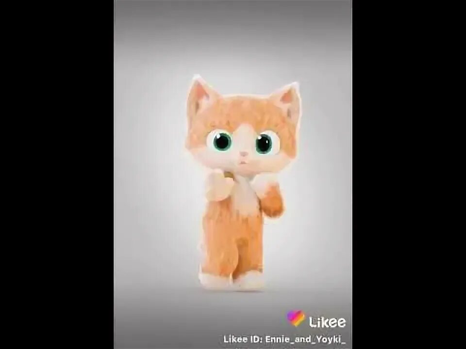 Котики котики и котики - YouTube