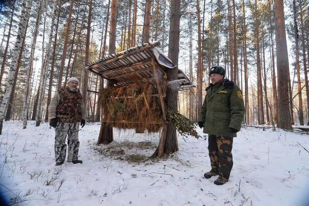 Столовая для лосей 8. Егерь Лесник. Профессия Егерь лесничий охотовед. Кормушки для диких животных зимой. Егерь в заповеднике.