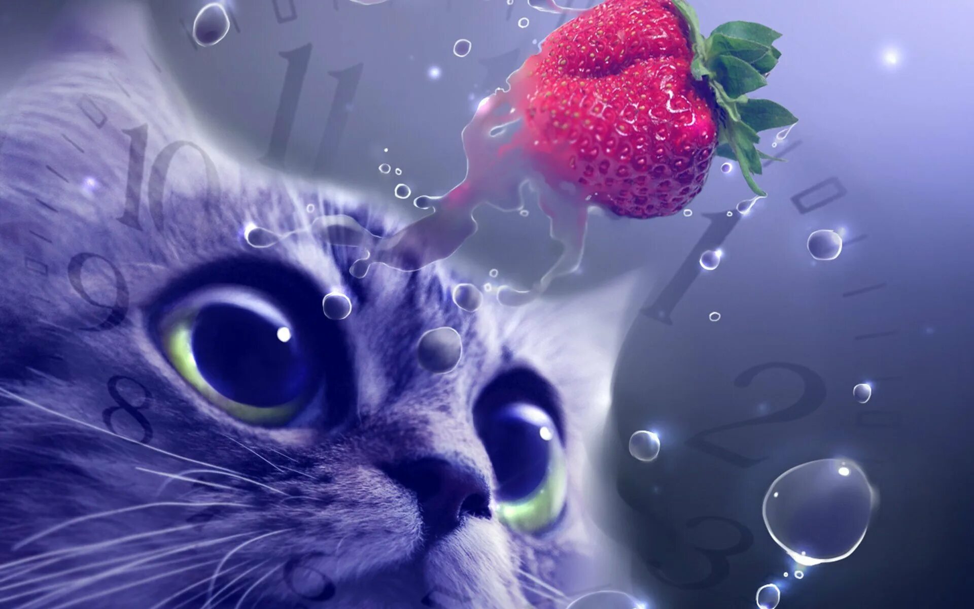 Картинки которые можно поставить. Живые обои с котом. Красивые картинки животных на аватарку. Очень красивые обои популярные. Заставки красивые милые и красивые.