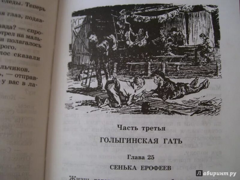 Бронзовая птица слушать. Бронзовая птица цитаты. Сколько страниц в книге бронзовая птица.