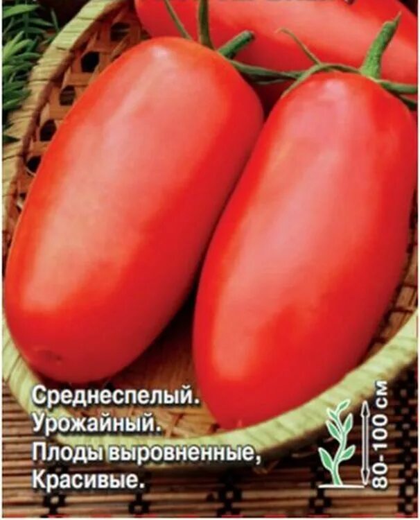 Самкон томат описание. Самкон томат описание. Томат самкон 12. Томаты самконы семена. Томат самкон 7.
