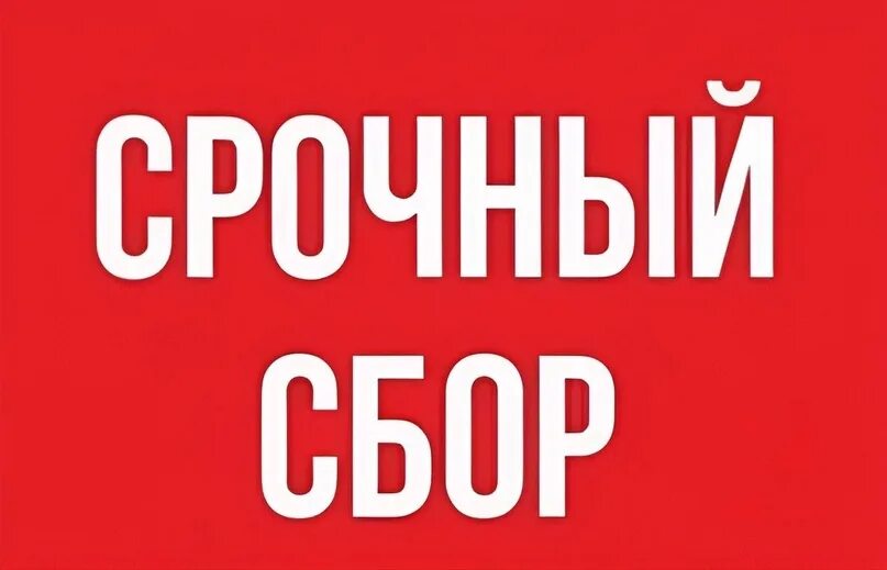 Срочный. Срочный сбор. Сбор средств надпись. Срочный сбор надпись. Мега срочный сбор