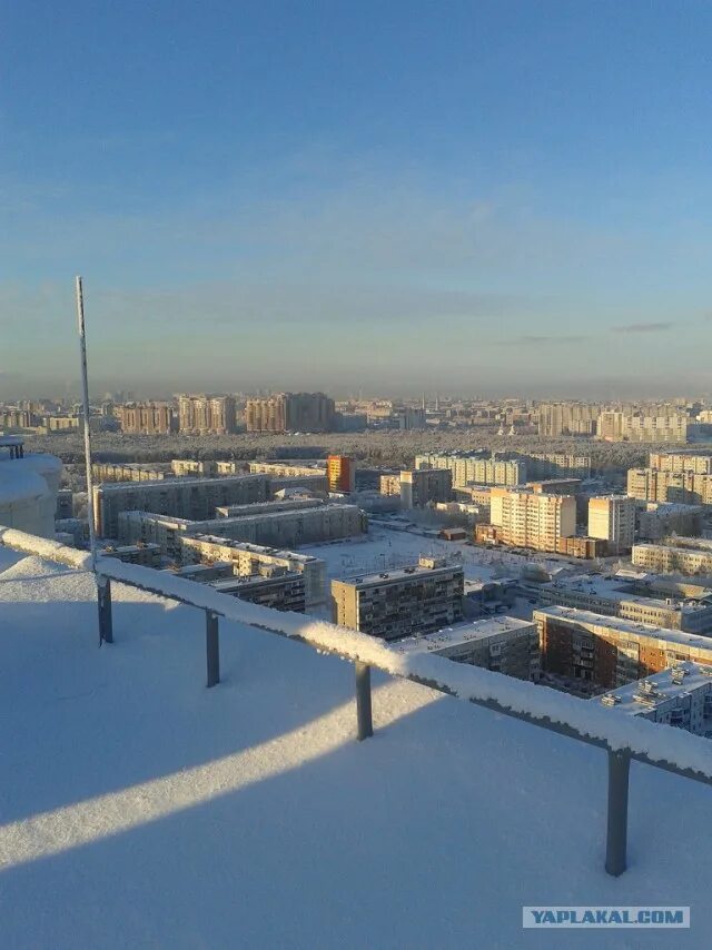 Сургут климат. Погода в Сургуте. Погода в Сургуте сейчас. Сургут погода зимой. Город сургут прогноз погоды на завтра