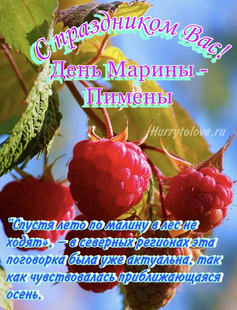 Марины пимены 20 августа картинки. Доброе утро малина. День марины пимены картинки. Марины пимены 20 августа картинки. Марины-пимены народный праздник.