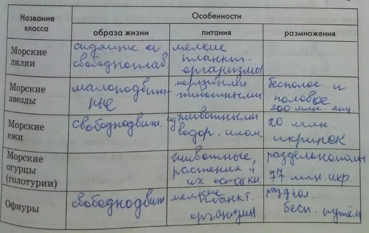 Особенности строения и образа. Таблица по классам иглокожих 7 класс биология. Таблица классы иглокожих 7 класс биология. Таблица по биологии 7 класс Тип иглокожие. Класс иглокожих таблица 7 класс биология.