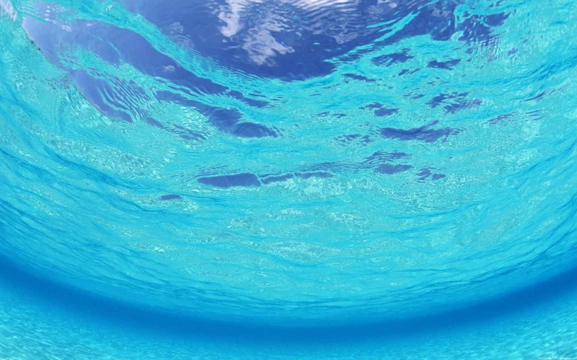 Океан под водой. Море вода. Голубая вода. В толще воды. Внутренние воды в океане