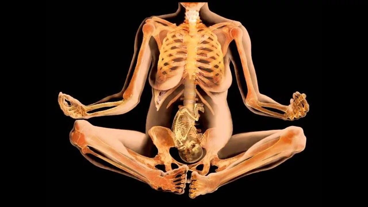 Рожающее тело. Женский скелет. Анатомия женского тела. Женский скелет человека.