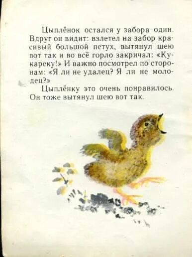 Сказка цыпленок чуковский. Приключения маленького цыпленка. Однажды маленький цыпленок к большому петуху. Однажды маленький цыпленок к большому петуху. Иллюстрации к сказке чуковского цыпленок.