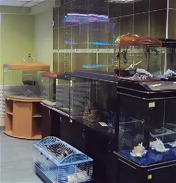 магазин белая акула