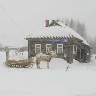 Деревня 21