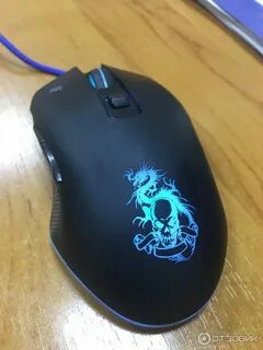 Defender dragon