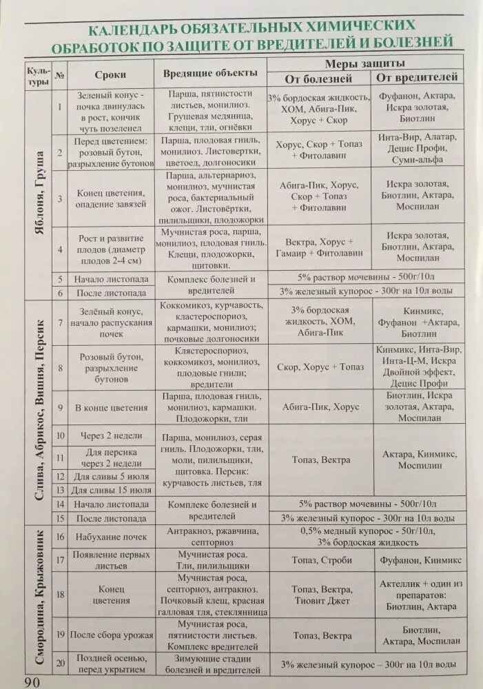 Чем опрыскать вишню после цветения. Схемы обработки плодовых деревьев. График опрыскивания плодовых деревьев от вредителей. Весенняя обработка сада от болезней и вредителей таблица. Схема обработки плодовых деревьев весной.