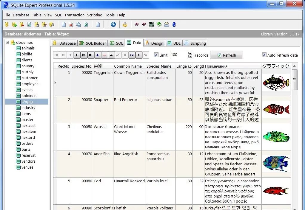 Базы данных SQLITE. СУБД SQLITE. Система управления базами данных SQLITE. SQLITE Expert professional. Sqlite что это