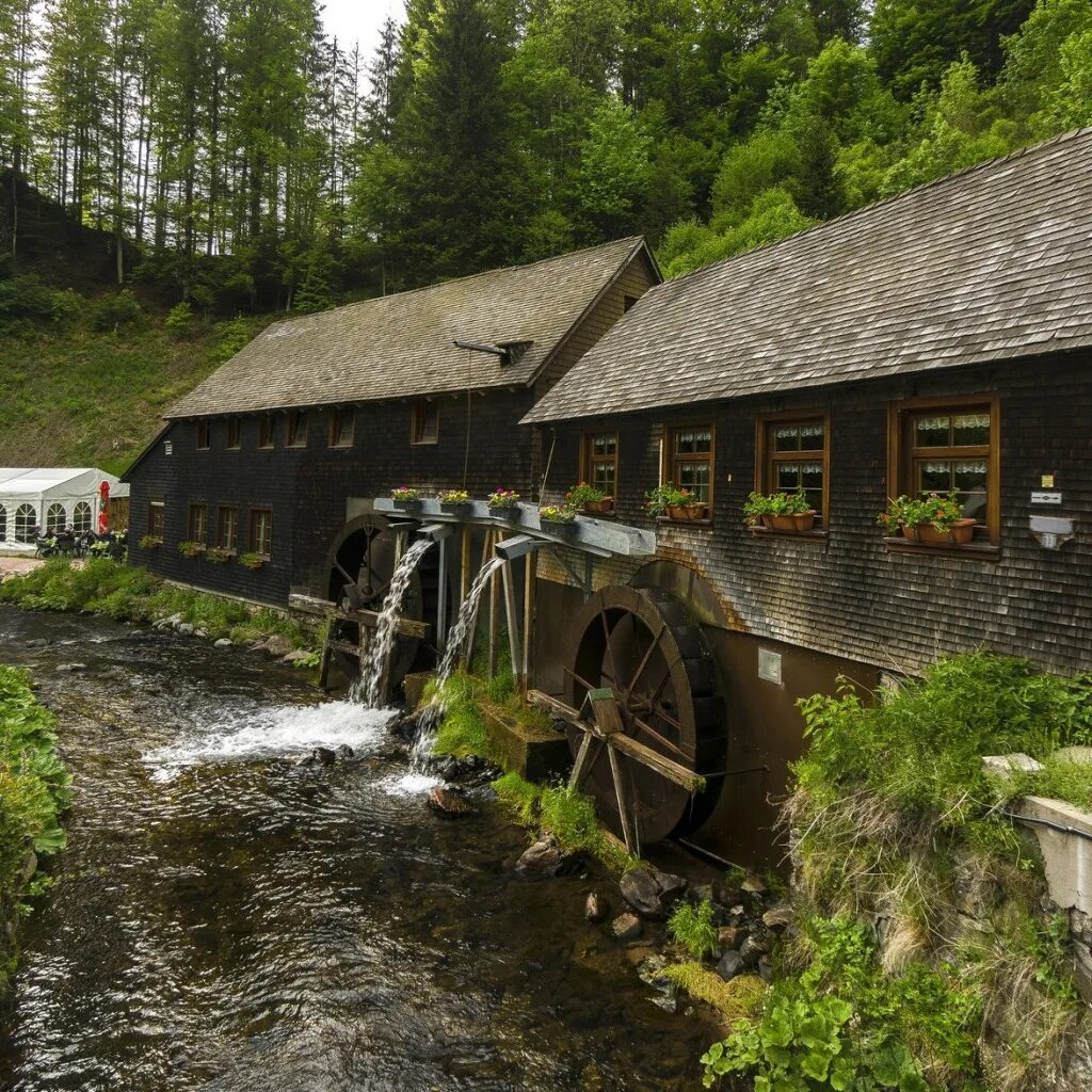 Мельница плотина. Танджиро водяная мельница. водяная мельница франция. берикуль водяная мельница. водяная мельница ресторан копорье.
