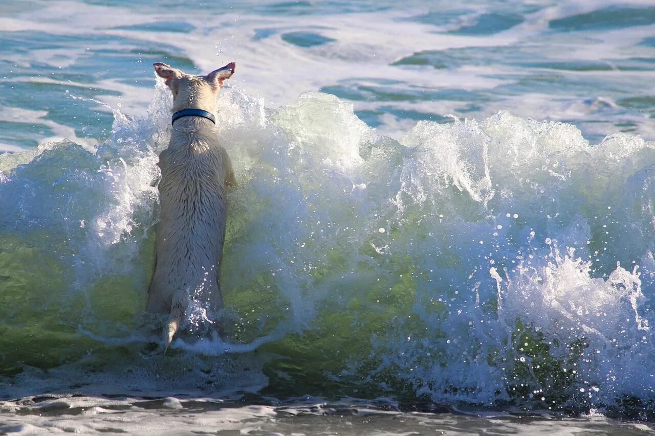 Playing with waves