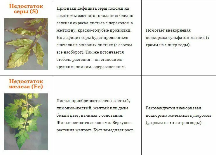 Признаки дефицита а. Таблица дефицита микроэлементов у томатов. Таблица нехватки микроэлементов у растений томатов. Симптомы нехватки микроэлементов у томатов. Томаты. Таблица болезни листьев.