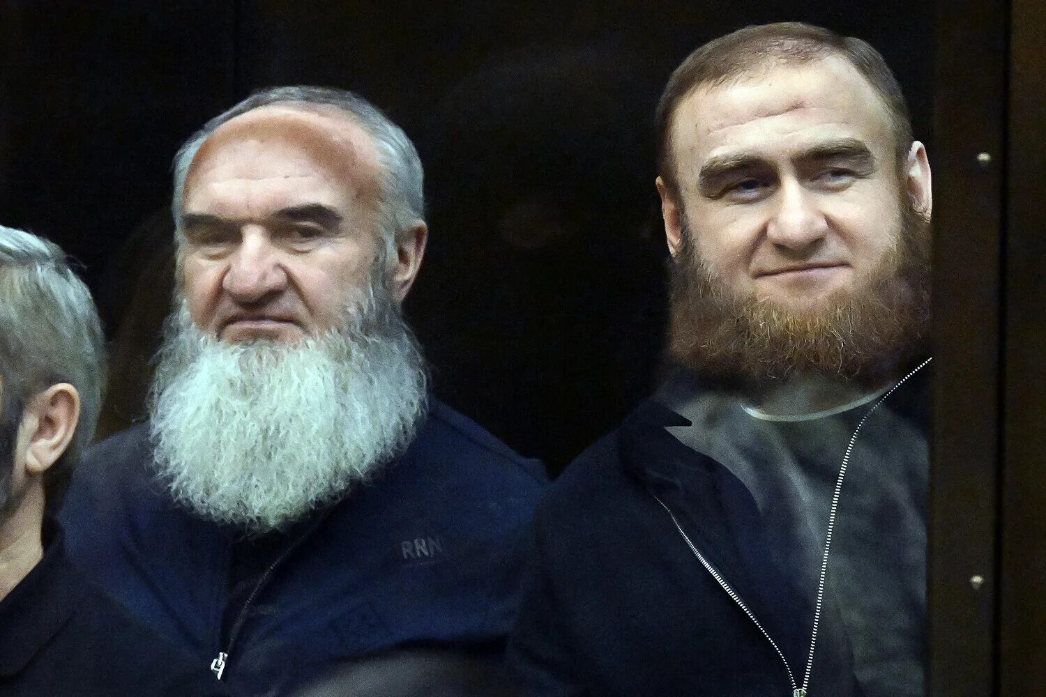 7 пожизненно назначенных сенаторов представляют. 7 пожизненно назначенных сенаторов представляют